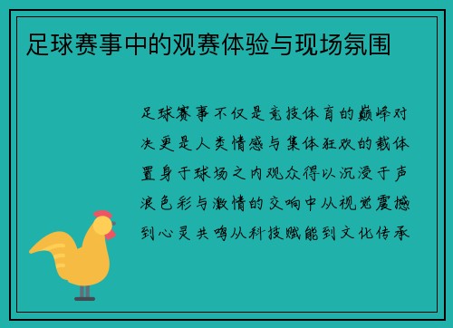 足球赛事中的观赛体验与现场氛围